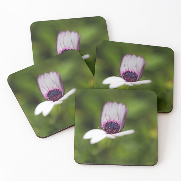 Item preview, Daisy Cape Unfolding Still  designed and sold by Joy Watson - Natural Light Photography .