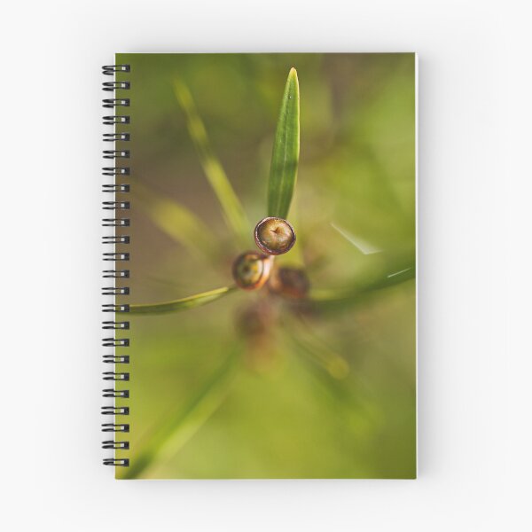 Item preview, Green Tea Tree Flower Buds designed and sold by Joy Watson - Natural Light Photography .