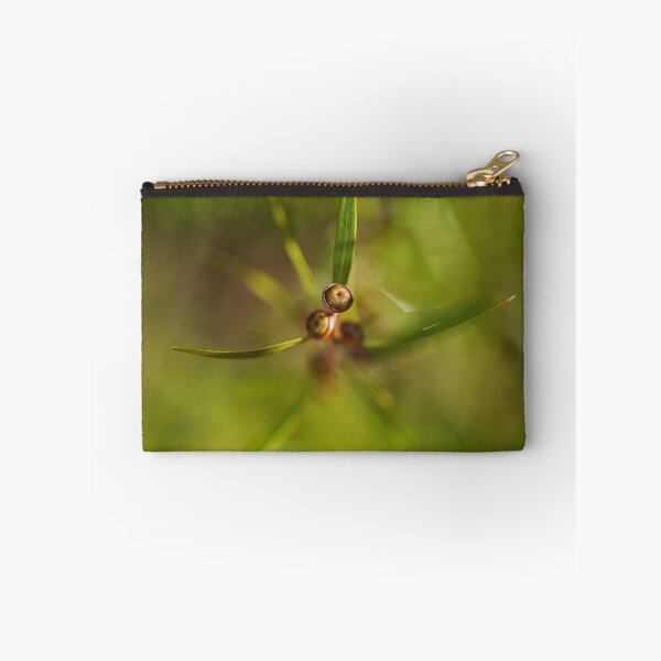 Item preview, Green Tea Tree Flower Buds designed and sold by Joy Watson - Natural Light Photography .