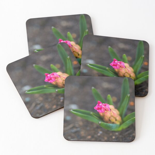 Item preview, Hyacinth Pink New Flowers designed and sold by Joy Watson - Natural Light Photography .