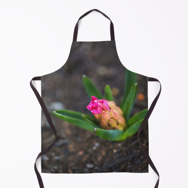 Artikelvorschau, Hyazinthen rosa neue Blumen entworfen und verkauft von Joy Watson - Natural Light Photography .