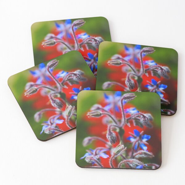 Item preview, The Borage Plant Waves Arms designed and sold by Joy Watson - Natural Light Photography .