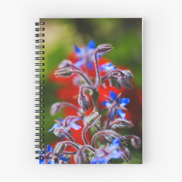 Item preview, The Borage Plant Waves Arms designed and sold by Joy Watson - Natural Light Photography .