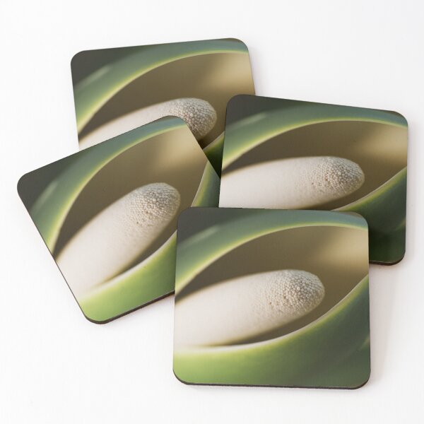 Item preview, Monstera Green Fruit  designed and sold by Joy Watson - Natural Light Photography .