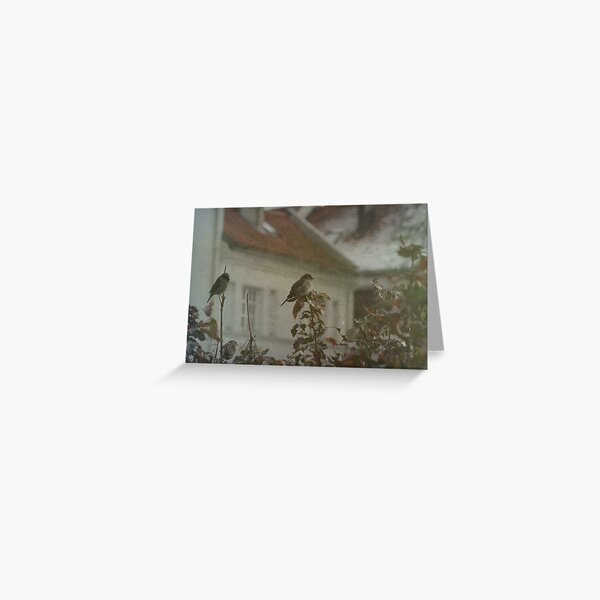 Stubborn Sparrows Greeting Card