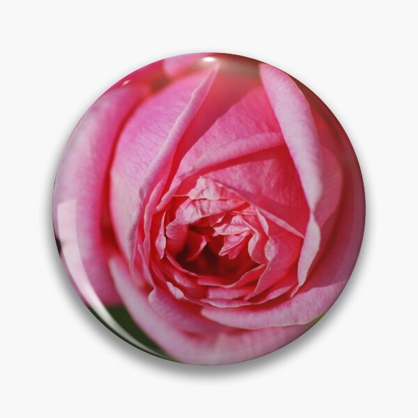 Item preview, Bright And Happy Pink Rose designed and sold by Joy Watson - Natural Light Photography .