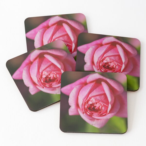Item preview, Bright And Happy Pink Rose designed and sold by Joy Watson - Natural Light Photography .