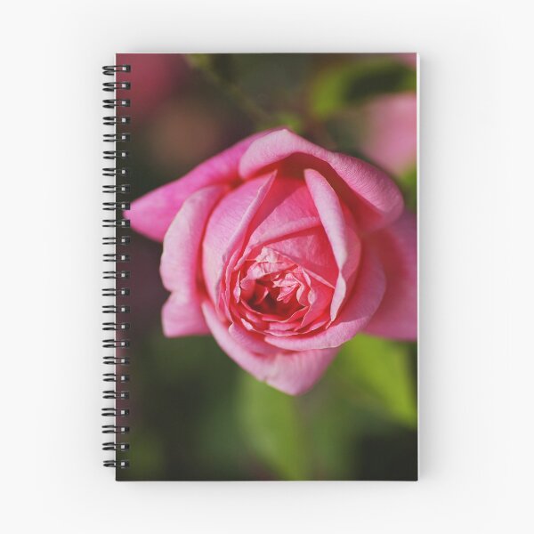 Item preview, Bright And Happy Pink Rose designed and sold by Joy Watson - Natural Light Photography .