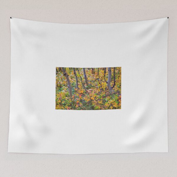 Item preview, Forest Colors designed and sold by Bo Insogna.