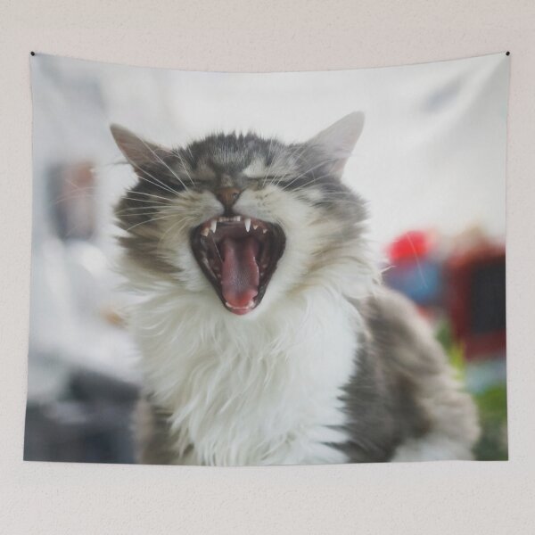 Item preview, Kitten Yawning designed and sold by billduncan.