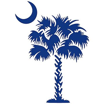 Artwork thumbnail, South Carolina Palm by baileymincer