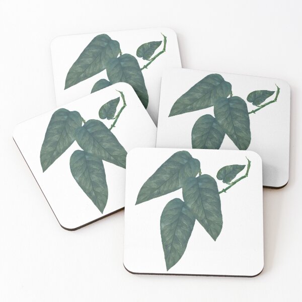 Item preview, Pothos Cebu Blue Leaf designed and sold by Khotekmei.