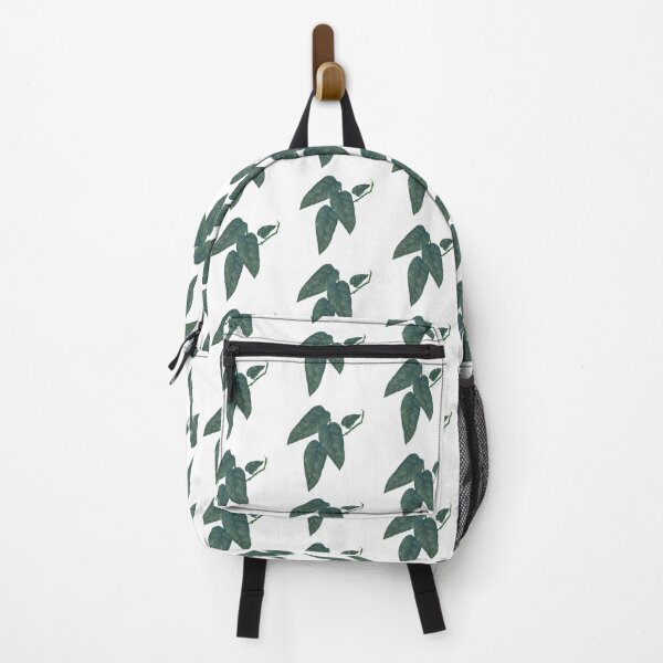 Item preview, Pothos Cebu Blue Leaf designed and sold by Khotekmei.
