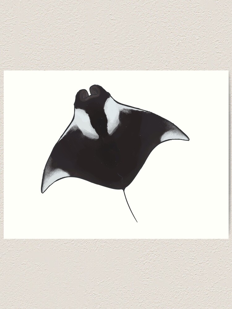 【JOLYN】 MANTA RAY(PRINTS)(2505) /追跡付 Oceanic Manta Puzzle