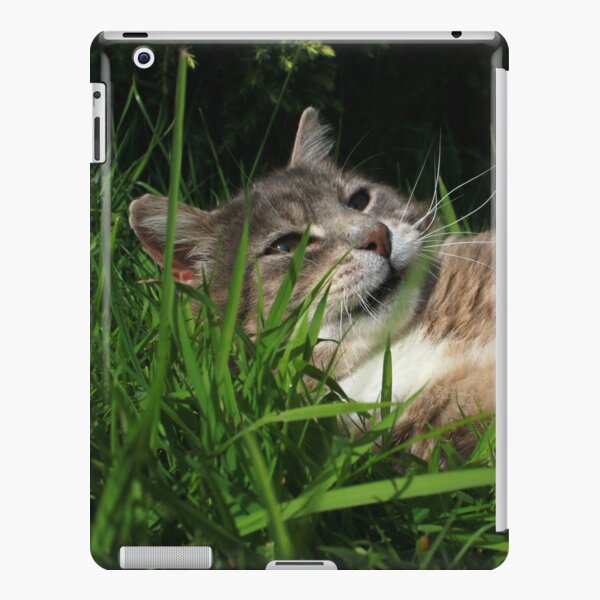 Tabby cat playing with toy mouse iPad Snap Case