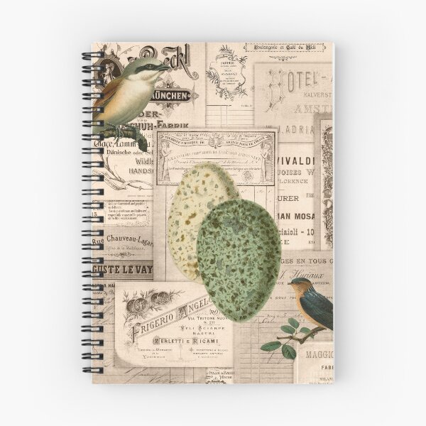 Item preview, Vintage Birds, Eggs, and Ephemera designed and sold by Angelandspot.
