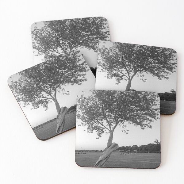 Item preview, New Tree from Old Trunk, Clevedon, North Somerset designed and sold by CloneDigitalArt.