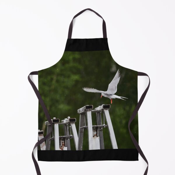 Item preview, On the dam. Common tern designed and sold by Jouko Lehto Photography.