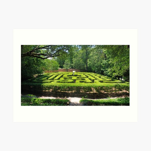 Hedge Maze Art Prints | Redbubble