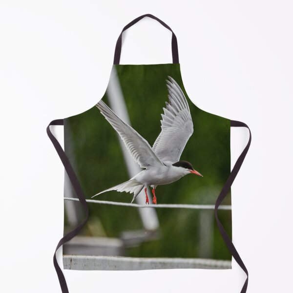 Item preview, Go. Common tern designed and sold by Jouko Lehto Photography.