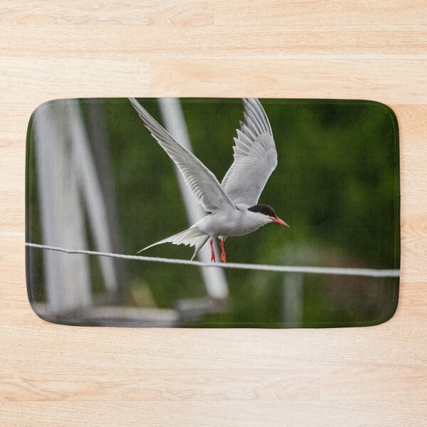 Item preview, Go. Common tern designed and sold by Jouko Lehto Photography.