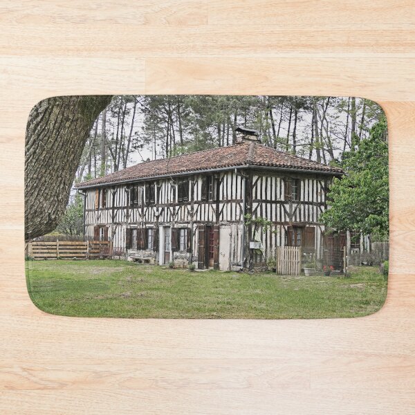 Item preview, r2982 / Finition 2021  -- " Les Ames des Landes : la Maison de la Mémoire Ancienne "  mai 2017   fz 2000 (c)(t) Olavia-Olao Okaio Créations designed and sold by o.okaïo.