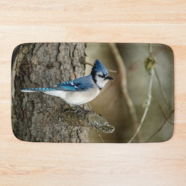 Artikelvorschau, Blue Jay entworfen und verkauft von Michael Cummings.
