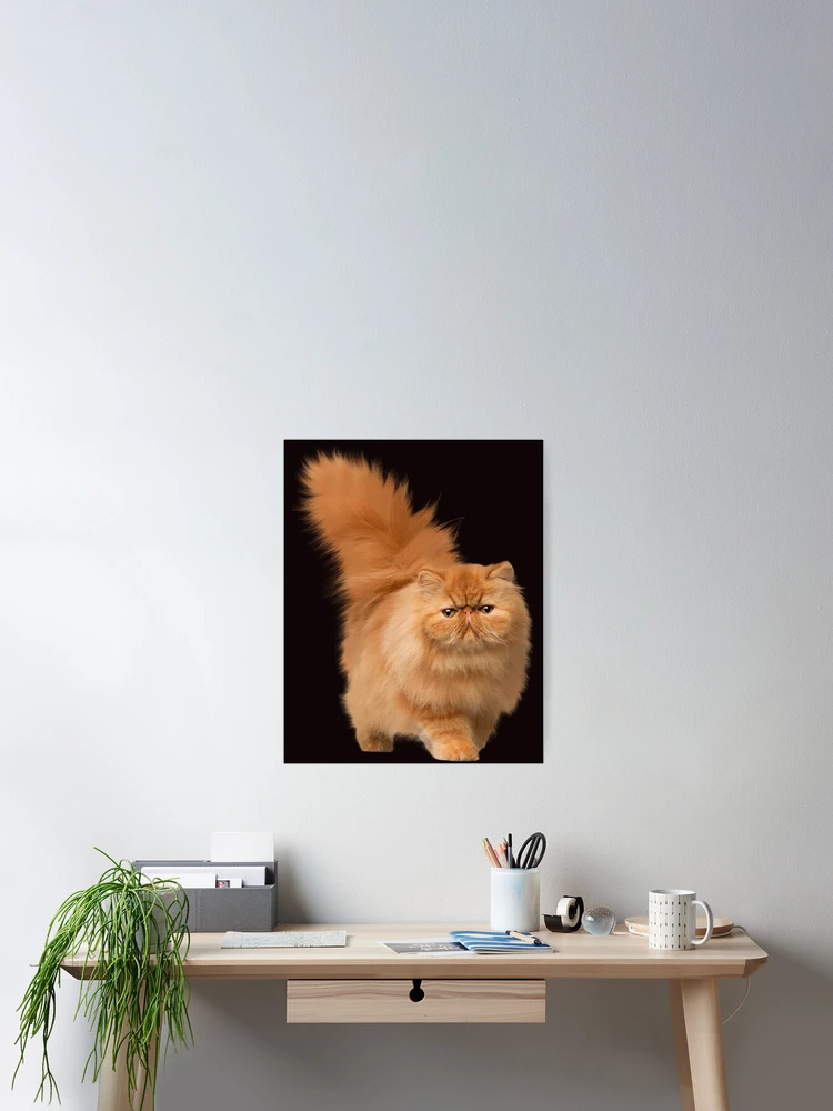Thumbnail 2 of 3, Poster, Pets lovers designed and sold by Roshan Keenoo.