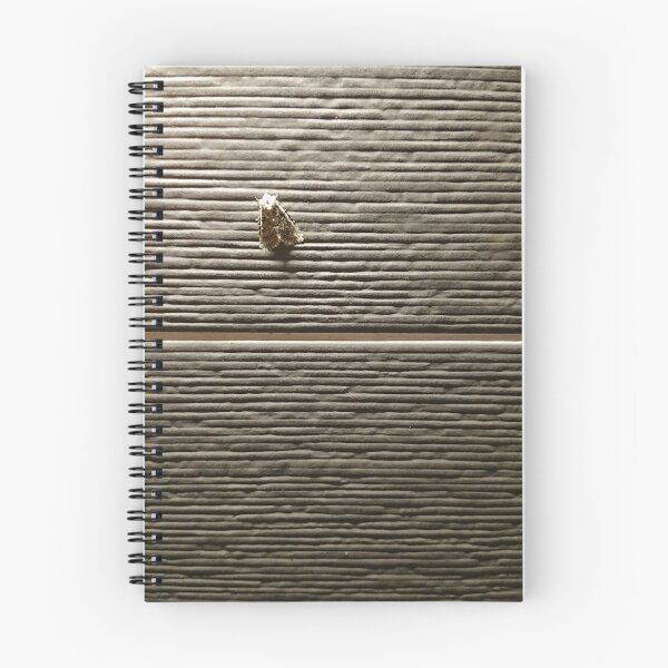 Item preview, Moth in the Kitchen designed and sold by CloneDigitalArt.