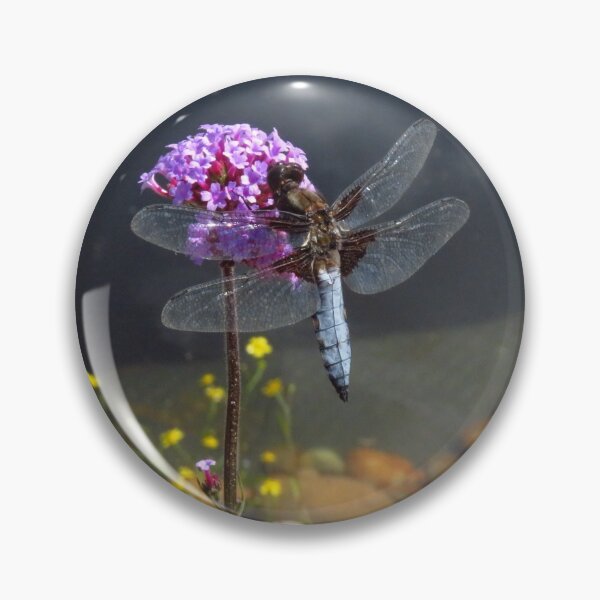 Item preview, Broad-Bodied Libellula Dragonfly on Verbena designed and sold by wiggyofipswich.