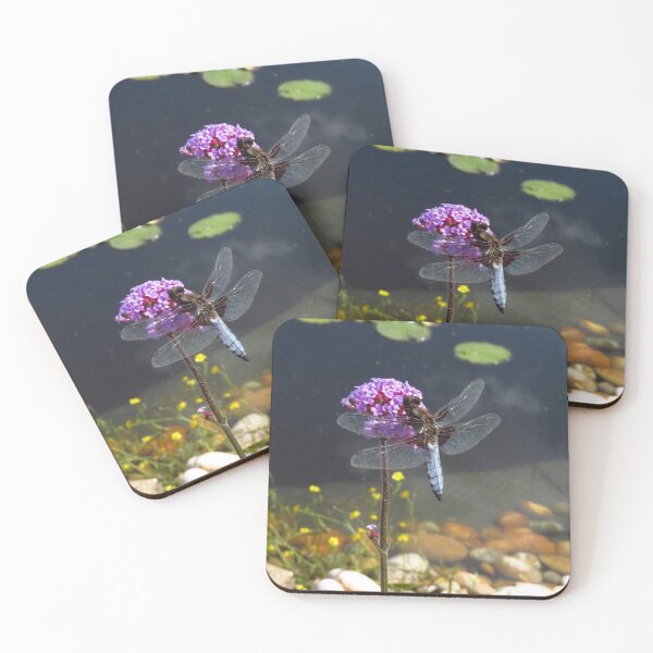 Item preview, Broad-Bodied Libellula Dragonfly on Verbena designed and sold by wiggyofipswich.