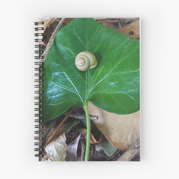 Item preview, Green Snail on Green Leaf designed and sold by CloneDigitalArt.
