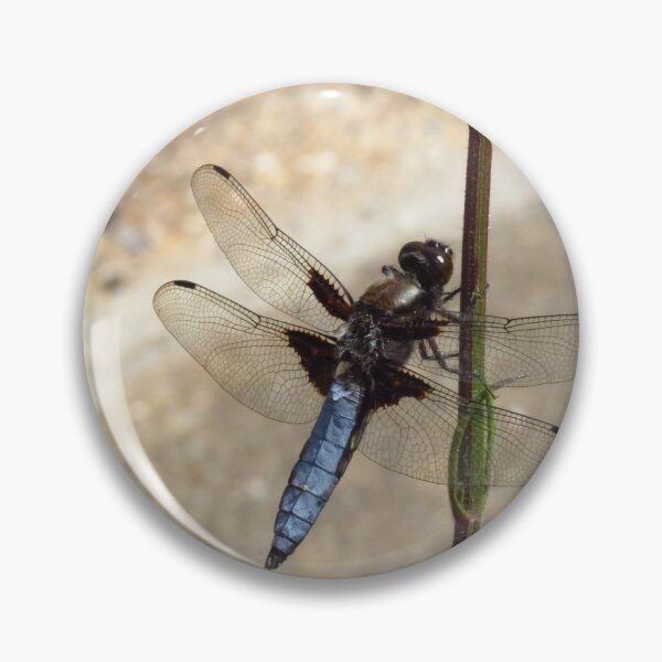 Item preview, Male Broad-Bodied Libellula Dragonfly designed and sold by wiggyofipswich.