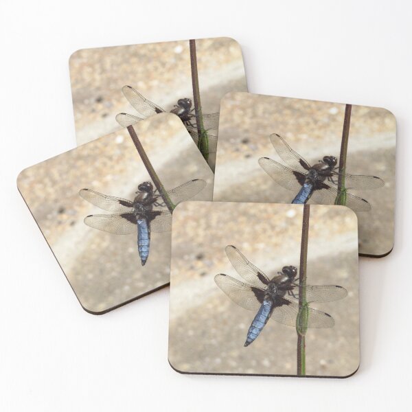 Item preview, Male Broad-Bodied Libellula Dragonfly designed and sold by wiggyofipswich.