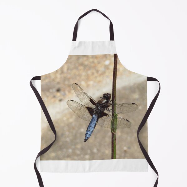 Item preview, Male Broad-Bodied Libellula Dragonfly designed and sold by wiggyofipswich.