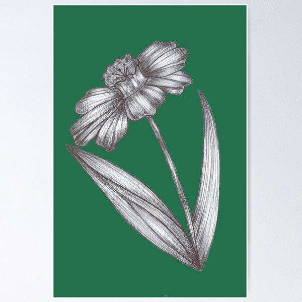 Item preview, Inked Narcissus  designed and sold by ReemmWahba.