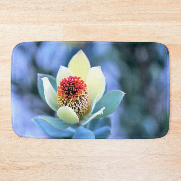 Item preview, Ornamental Beauty - Leucadendron discolor designed and sold by imaginethis.