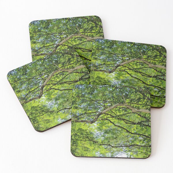 Item preview, Canopy of trees designed and sold by Photopat.