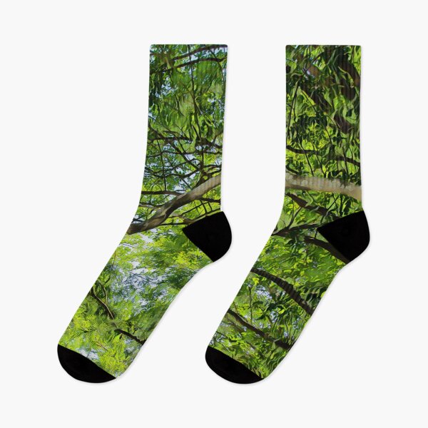 Item preview, Canopy of trees designed and sold by Photopat.