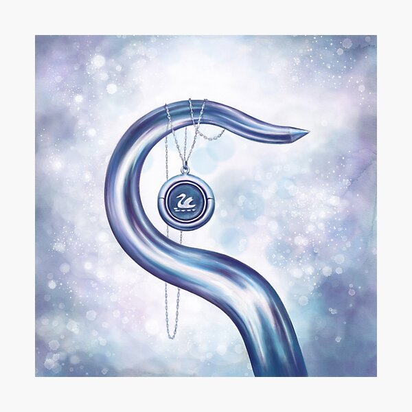 Hook & Swan Photographic Print