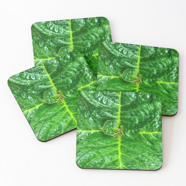 Item preview, Photosynthesis Rinse designed and sold by South Bay Storyteller .