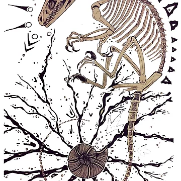 Artwork thumbnail, Horizontal Raptor Skeleton Design by HidingMonster