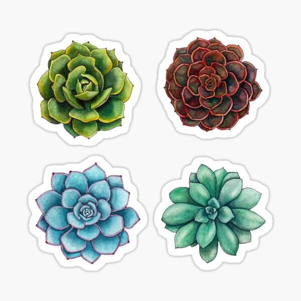 Succulent Sticker Set Sticker
