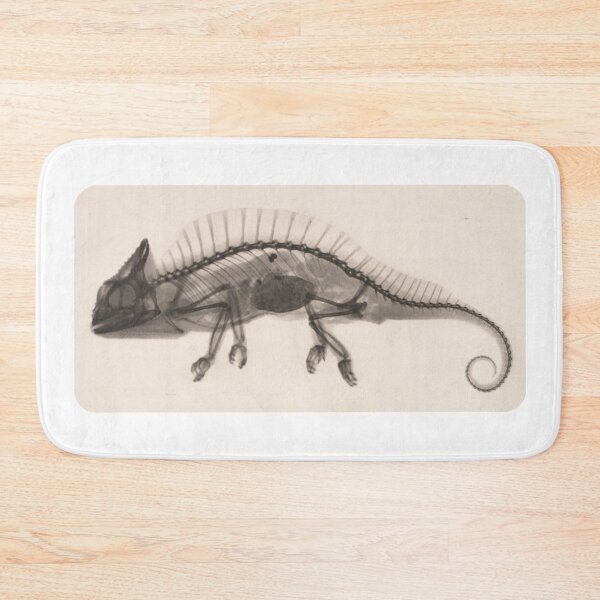 Item preview, X-Ray Chameleon designed and sold by Tameink.
