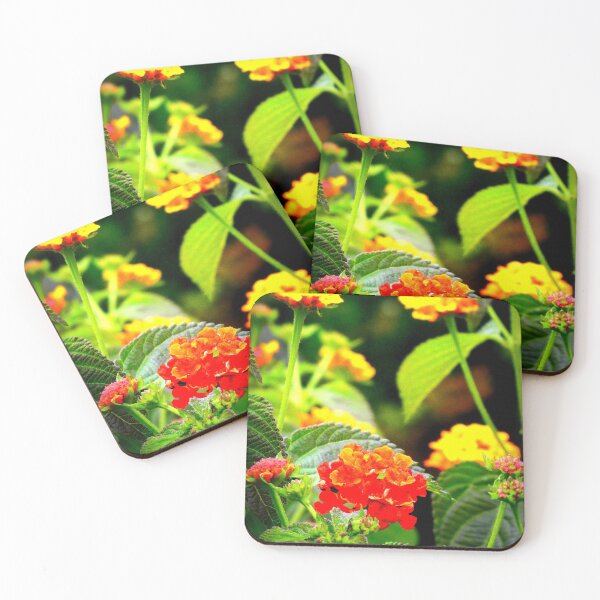 Item preview, Lantana (Wandelröschen) designed and sold by angel1.