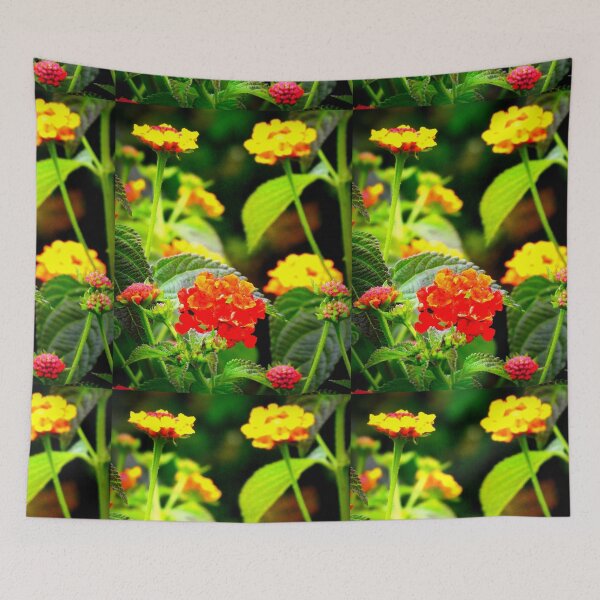 Item preview, Lantana (Wandelröschen) designed and sold by angel1.