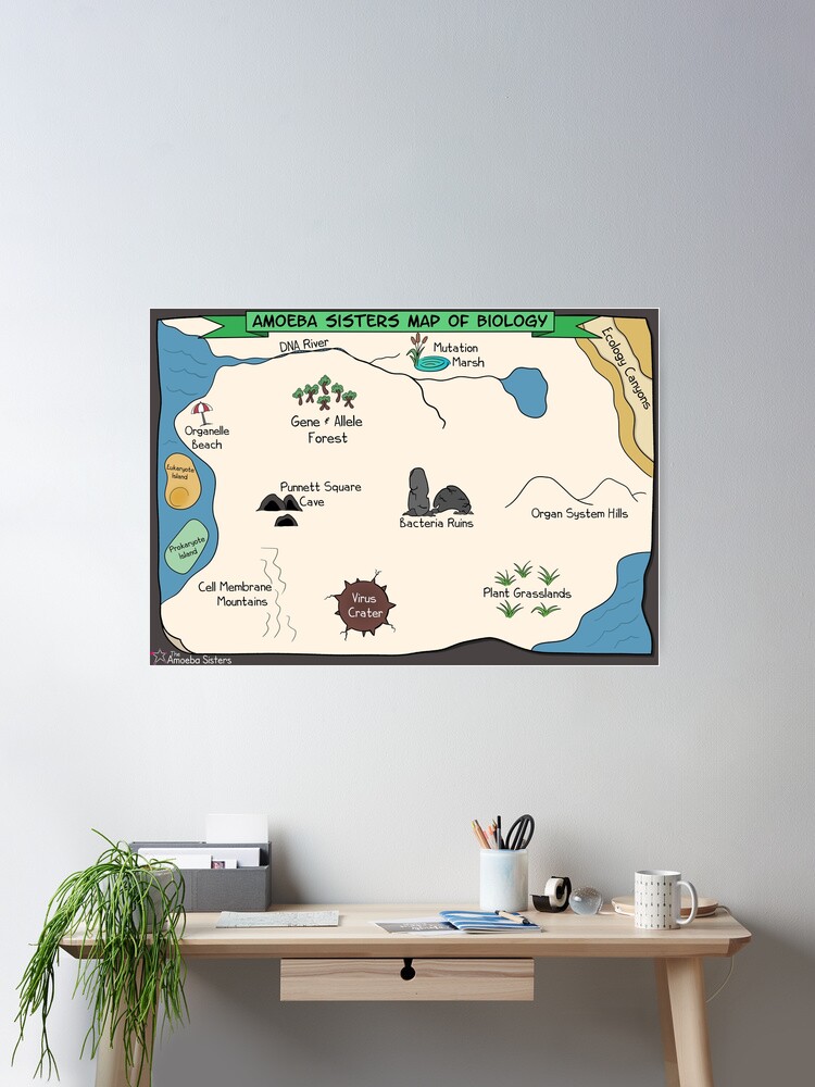 Thumbnail 2 of 3, Poster, Amoeba Sisters Biology Map designed and sold by amoebasisters.