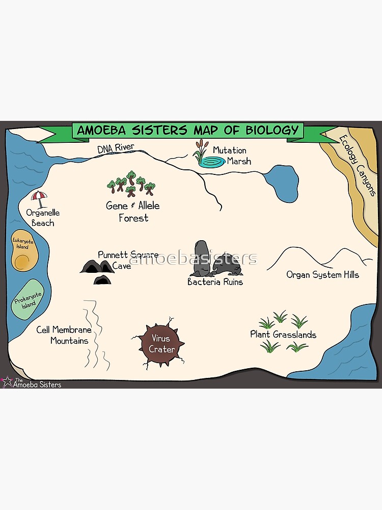 Thumbnail 3 of 3, Poster, Amoeba Sisters Biology Map designed and sold by amoebasisters.