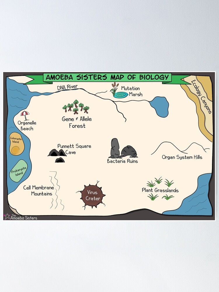 Thumbnail 1 of 3, Poster, Amoeba Sisters Biology Map designed and sold by amoebasisters.