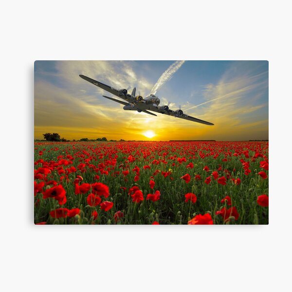 Item preview, Lest we Forget designed and sold by SteveWard.